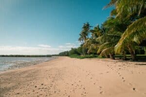 A quiet, empty beach in soft light with footprints in the sand