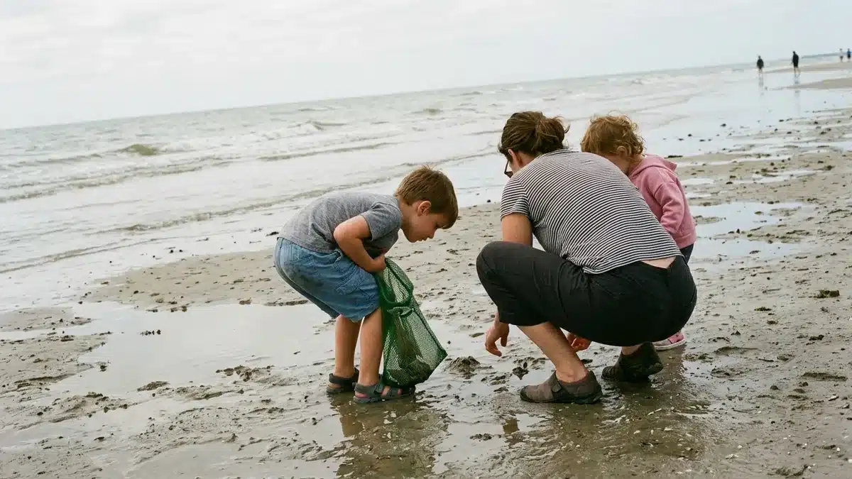 Family shelling technique on Blue Mountain Beach shoreline